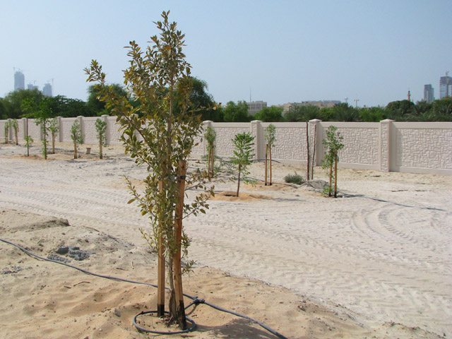 StoneTree® Boundary Fence - Concrete Fence Systems Royal Family Cemetry Project in AbuDhabi